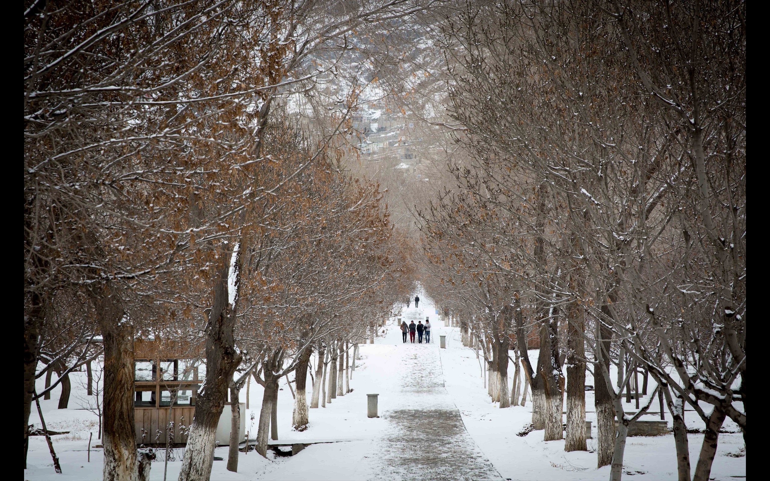 Baghe-Babur in the snow, January 2017. Photo: Martine van Bijlert