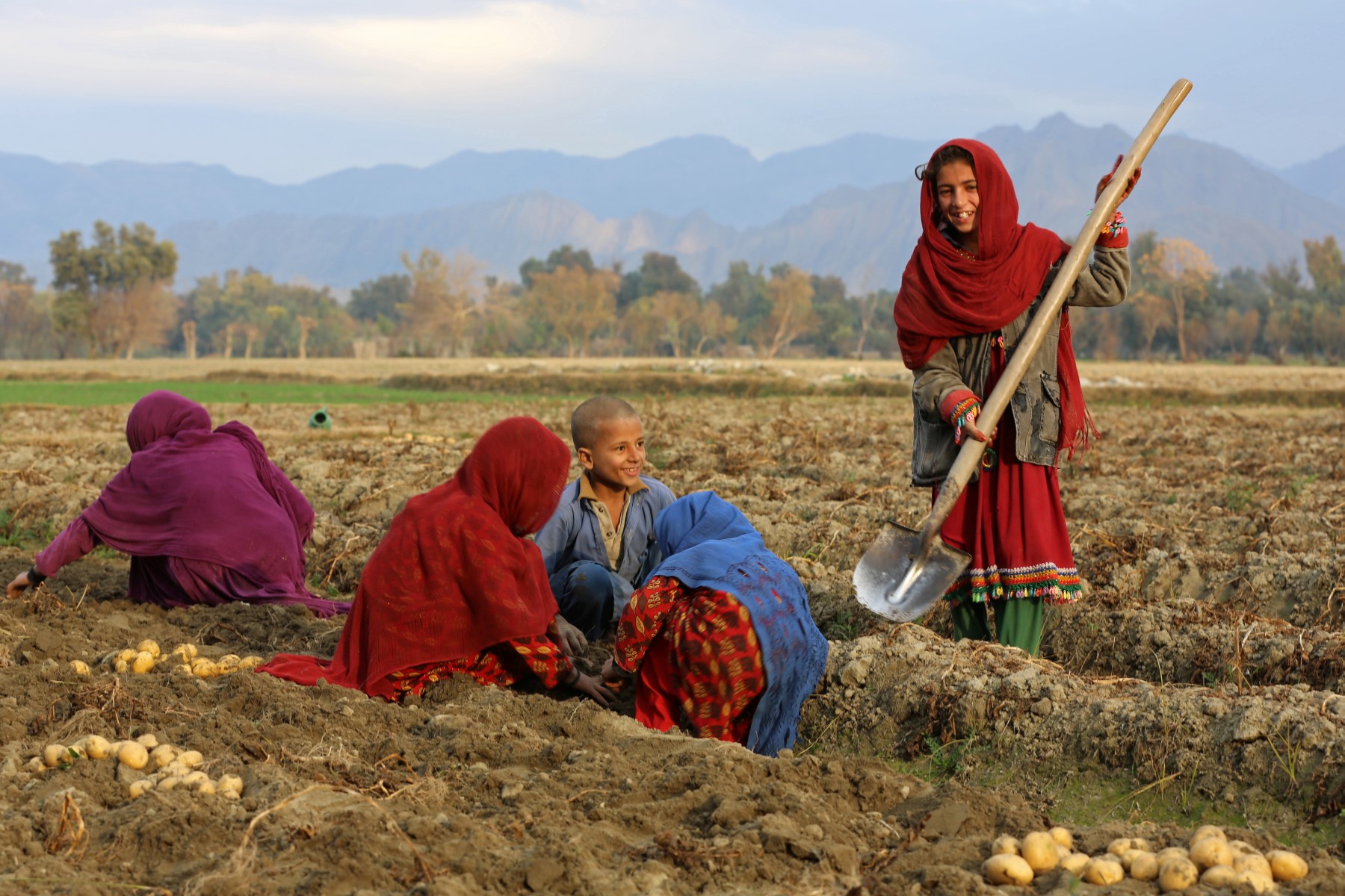 Village Life